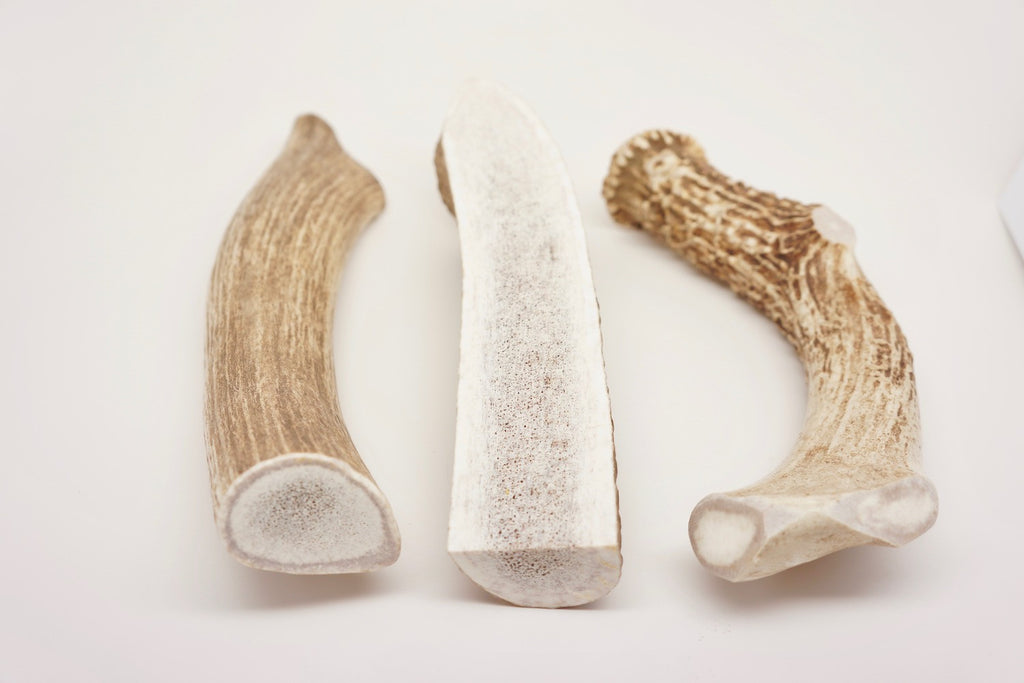 Not sure which antler chew is best for your dog...this post will help explain the differences.