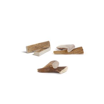 moose antler chews for dogs