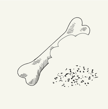 an illustration of a large bite from a bone