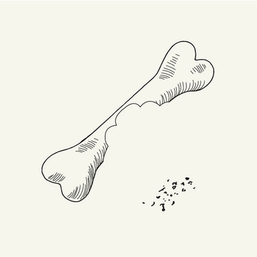 an illustration of a medium bite from a bone