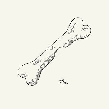 an illustration of a small bite from a bone