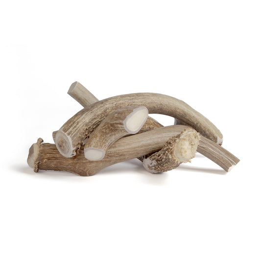 Deer Antler