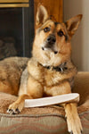 a german shepherd lies in a tan dog bed with a jumbo split elk antler chew on his paws