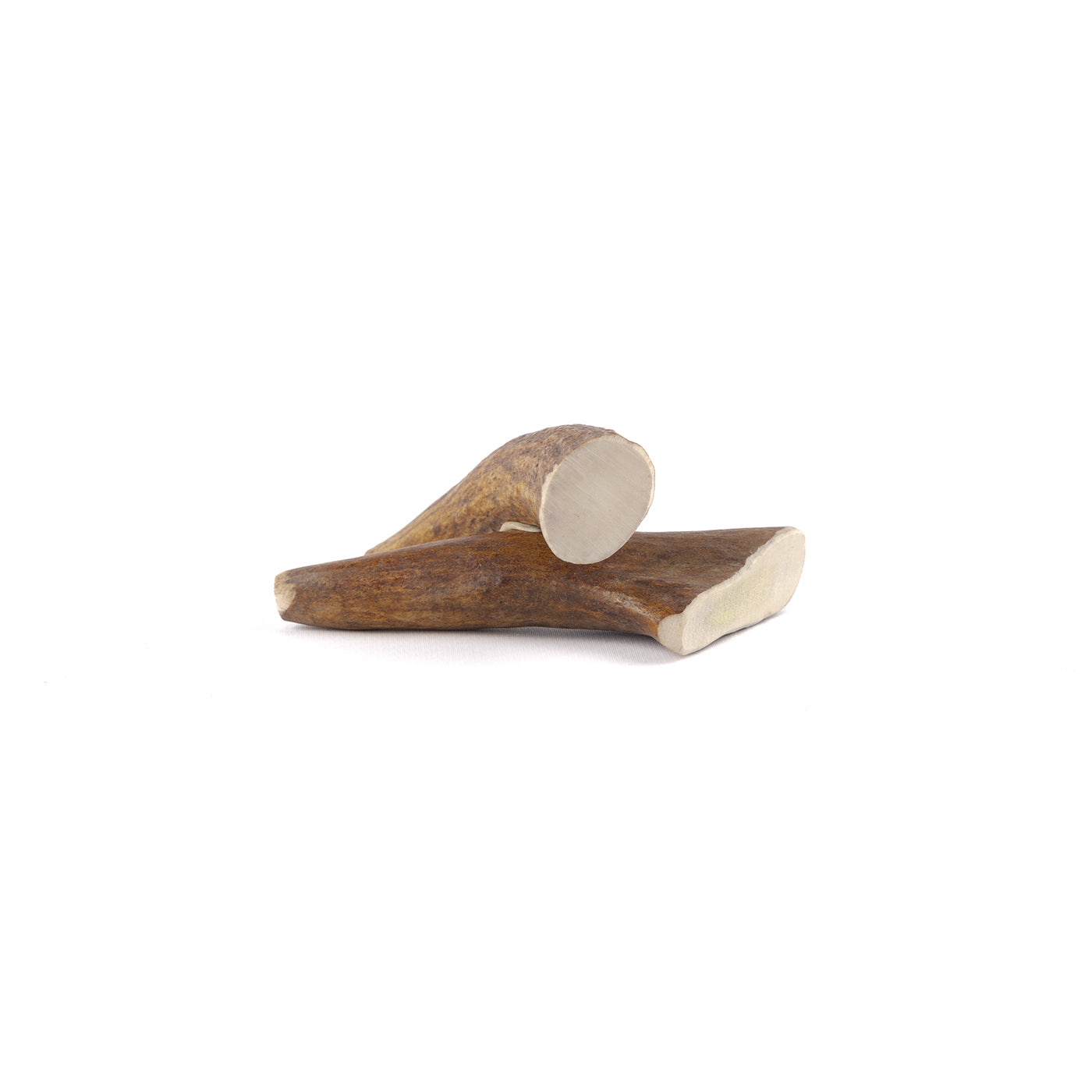 Moose Tine – RidgeRunner Antlers