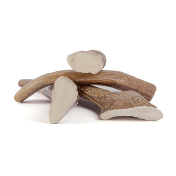 four jumbo moose tines in a pile on a white background