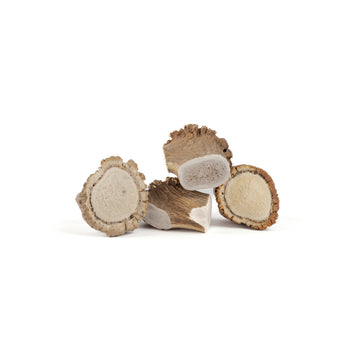 four large elk medallions in a pile on a white background 