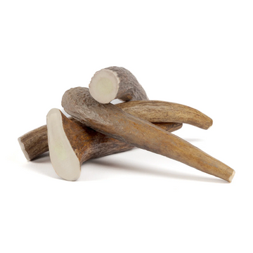 four large moose tines in a pile on a white background