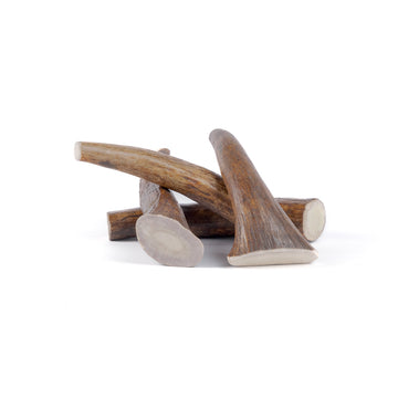 four medium moose tine antler chews in a pile on a white background