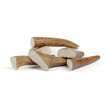 six small moose tine antler chews in a pile on a white background