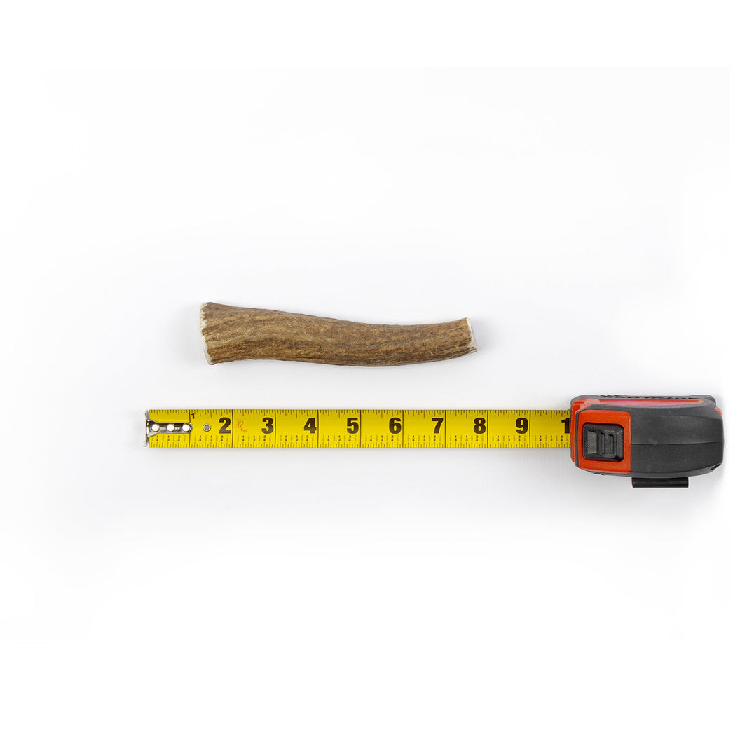 Antler Size - Pet Antlers - RidgeRunner – RidgeRunner Antlers