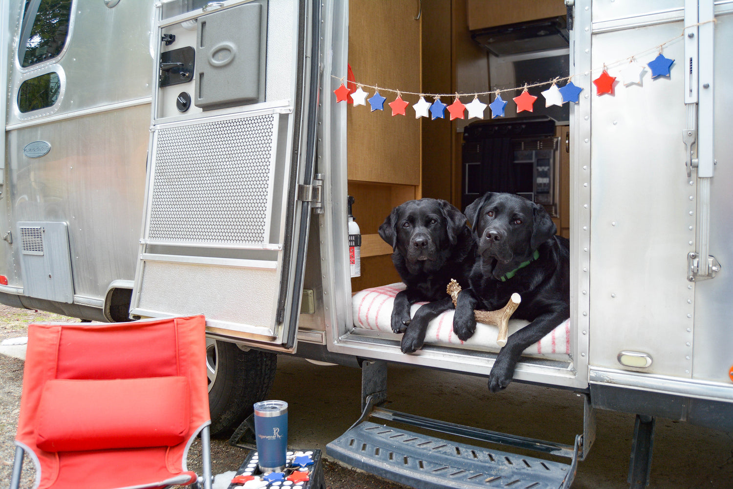 Two black dogs sitting inside an open Airstream camper with a red, white, and blue star banner above them. A deer antler chew is between one of the dogs paws.