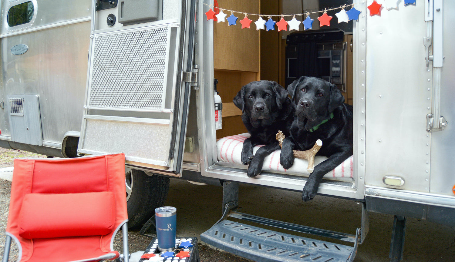 Two black dogs sitting inside an open Airstream camper with a red, white, and blue star banner above them. A deer antler chew is between one of the dogs paws.