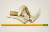 Small Antlers for Sale